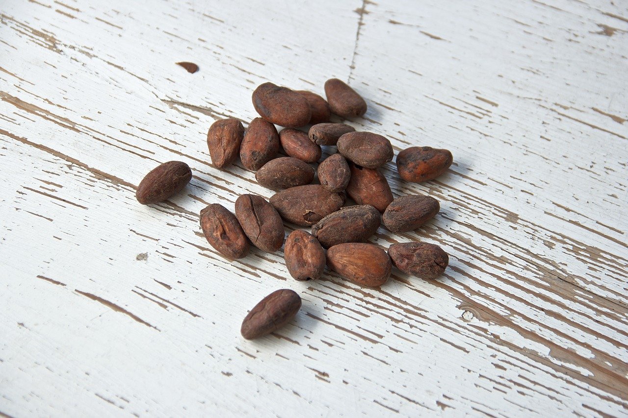 cocoa-beans